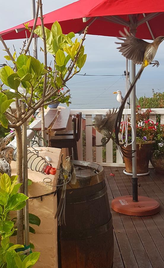 Belle Vue Guesthouse هيرمانوس المظهر الخارجي الصورة